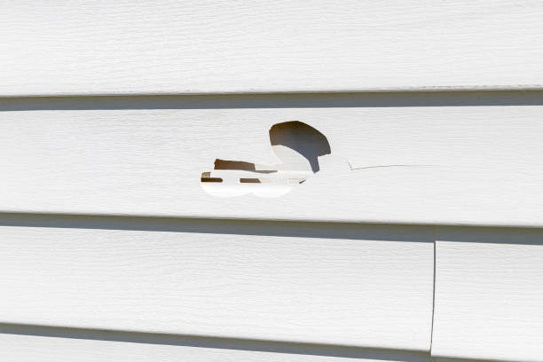 Moving and Downsizing Cleanouts in Jasonville, IN