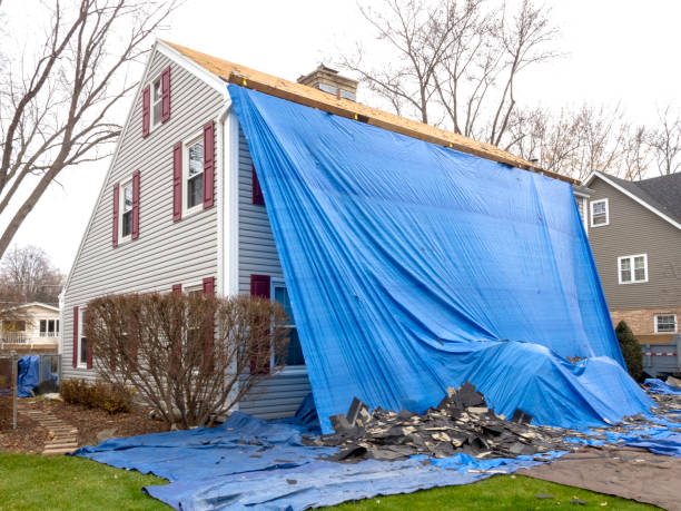 Best Residential Junk Removal  in Jasonville, IN